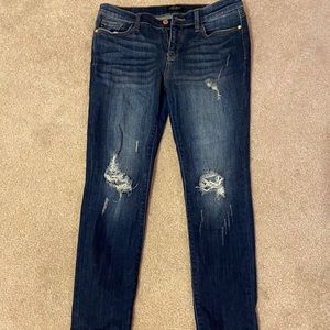 Judy Blue Distressed Skinny Jeans
